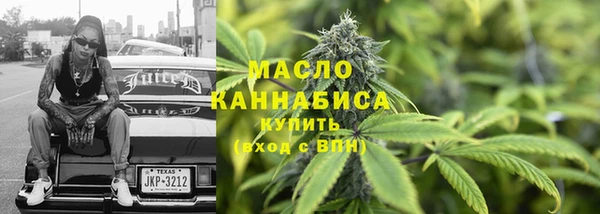 прущие грибы Коряжма