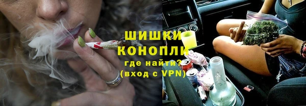 прущие грибы Коряжма
