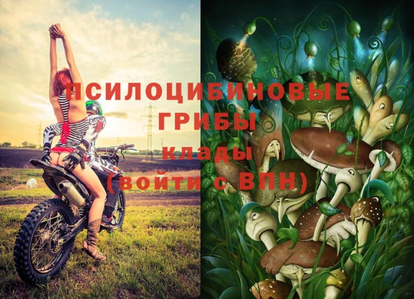 jwh Костерёво