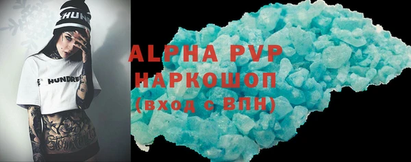 прущие грибы Коряжма