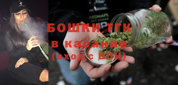прущие грибы Коряжма