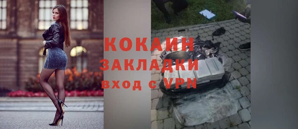 прущие грибы Коряжма