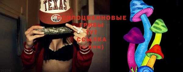 прущие грибы Коряжма