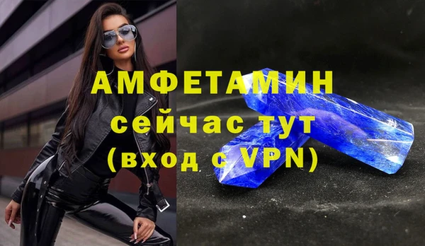 прущие грибы Коряжма
