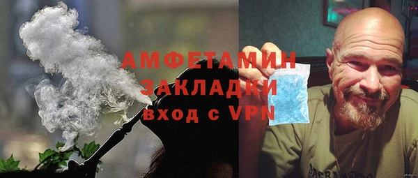 прущие грибы Коряжма