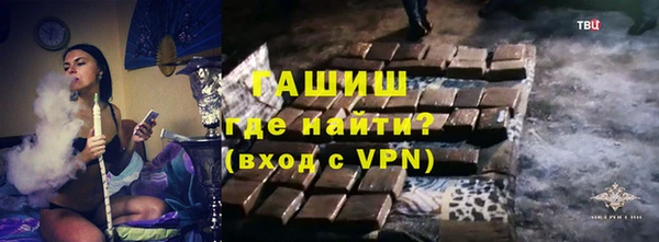 прущие грибы Коряжма