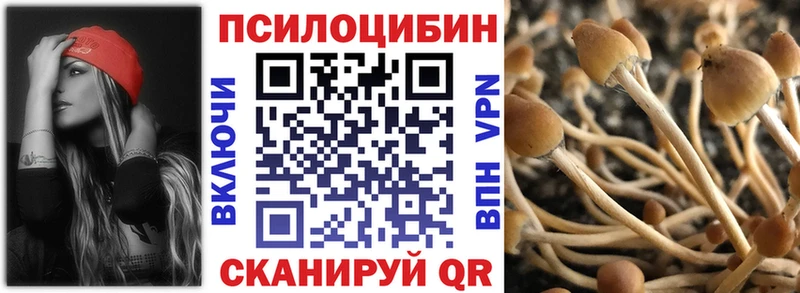 Купить закладки  Пудож  Псилоцибиновые грибы GOLDEN TEACHER 